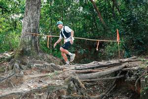 BIB: 
                            <button type="button" onclick="openModal(27803957)" class="btn btn-primary btn-sm float-right btn-popup" data-toggle="modal" data-target=".modal-high-quality">
                        <i class="fas fa-shopping-cart"></i> Add to Cart
                    </button>
                                            <button type="button" onclick="isThisMe(27803957, true)" class="btn btn-success btn-sm float-right btn-popup btn-isme hidden" data-toggle="tooltip" data-placement="bottom" title="นี่คือรูปของคุณใช่ไหม คลิกที่นี่เพื่อเอาเข้าอัลบั้ม">
                        <i class="fas fa-plus"></i> Add to album
                    </button>
                    <button type="button" onclick="isThisMe(27803957, false)" class="btn btn-warning btn-sm float-right btn-popup btn-isnotme hidden">
                        <i class="fas fa-ban"></i> Remove from album
                    </button>